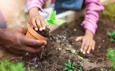 3 دقائق من النشاط العرضي تقلل