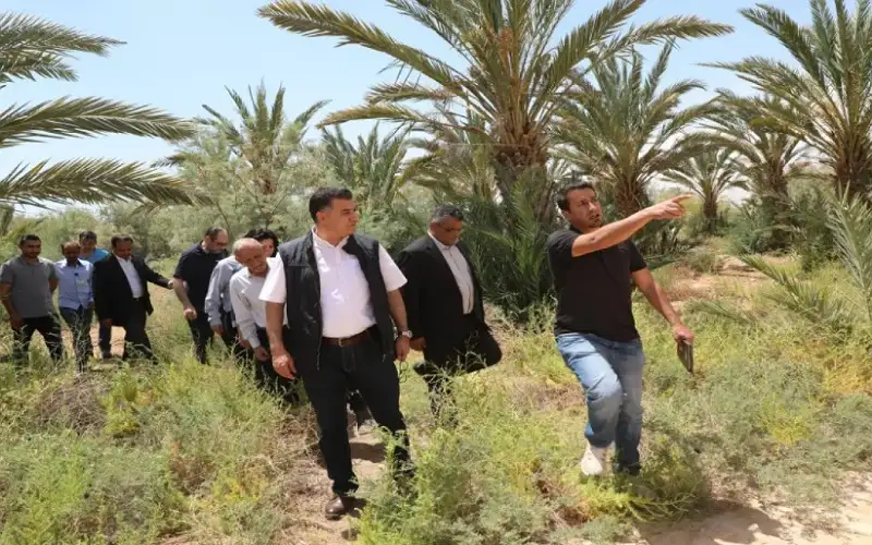 الزراعة: لن نسمح بوصول الاسمدة العضوية