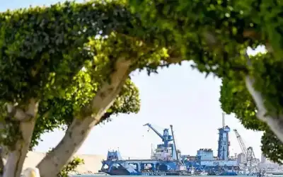 قناة السويس وترمب: هل للولايات المتحدة