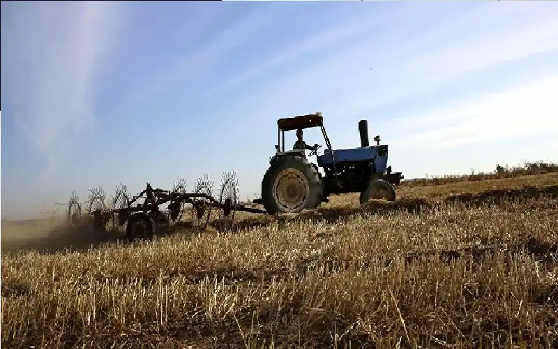 الاتحاد العام للمزارعين: الزراعة تقود النمو