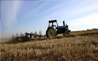 الاتحاد العام للمزارعين: الزراعة تقود النمو