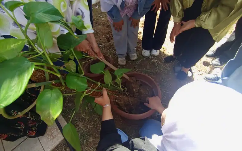 مركز شابات راكين ينظم محاضرة حول