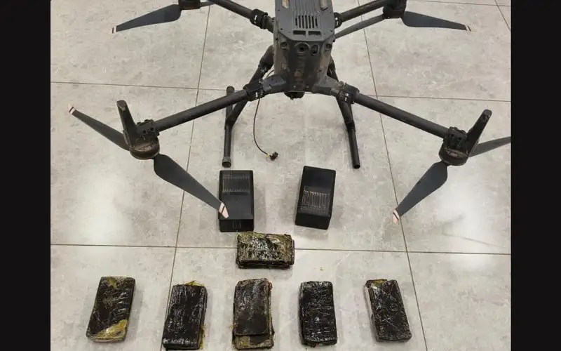 المنطقة العسكرية الجنوبية تحبط محاولة تهريب