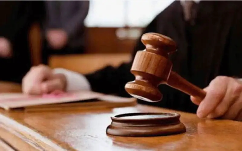 مصادر قضائية: الأحكام الصادرة على 4