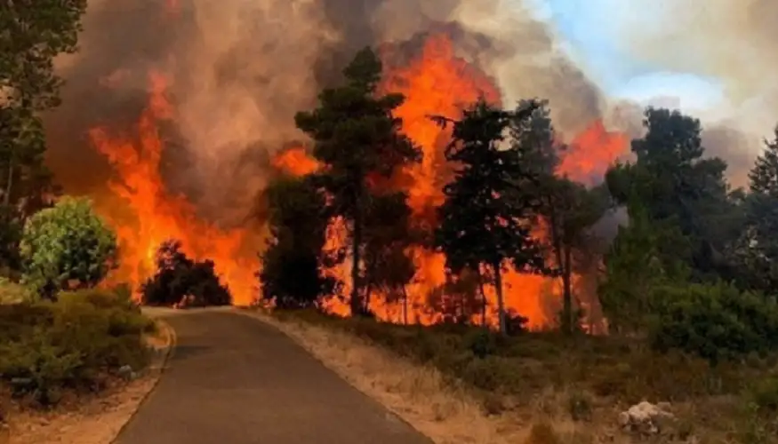 الكيان تحت النيران.. ذعر وهلع وإخلاء