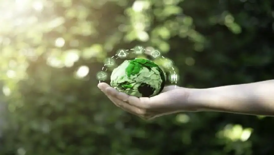 تقرير الربع الأول: إنجازات بارزة في