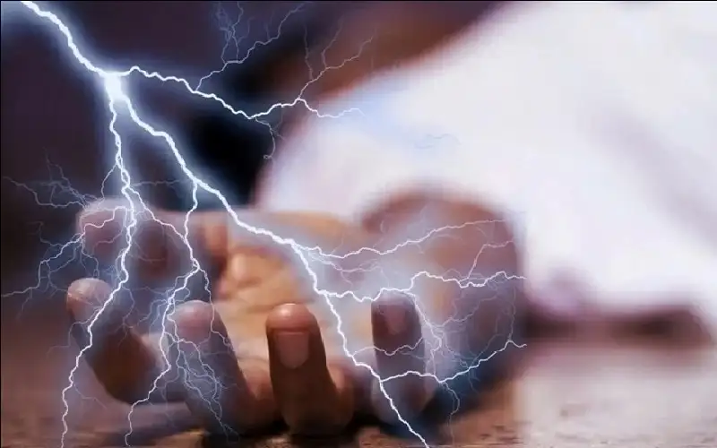 عندما نكون التربية بحاجة الى تربية