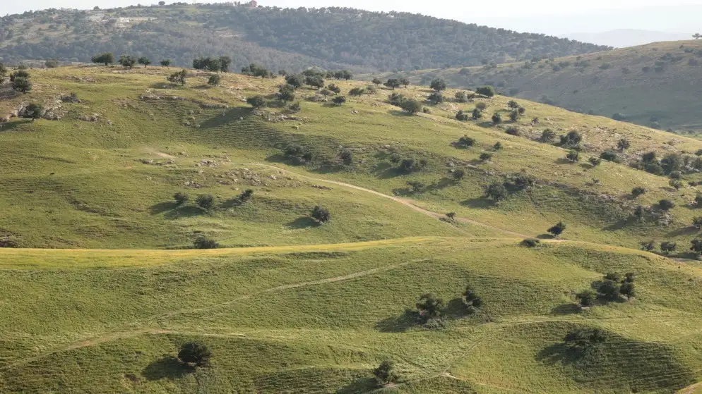 أجواء ربيعية لطيفة نهار الجمعة وباردة