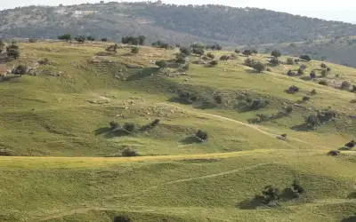يا بريزات .. محافظ العاصمة لا
