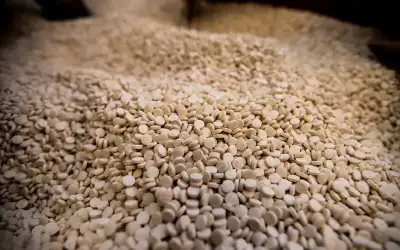 السعودية.. ضبط 1.5 مليون حبة كبتاغون