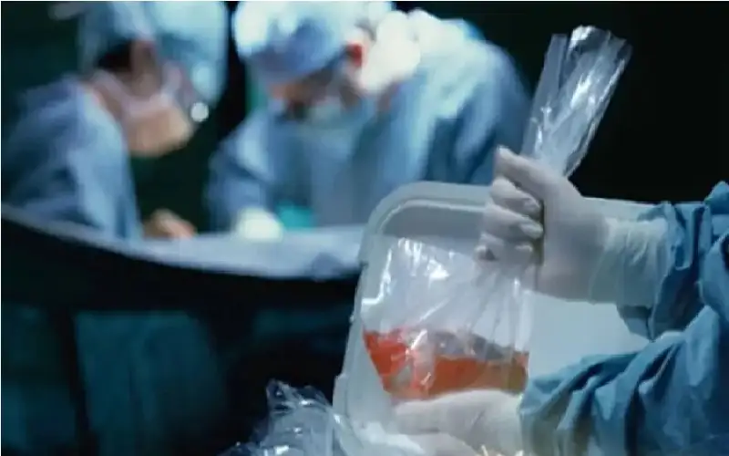 مصر.. فتح تحقيق عاجل في سرقة