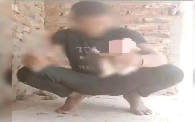 شاب يذبح قطة في بث مباشر..