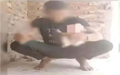 شاب يذبح قطة في بث مباشر..