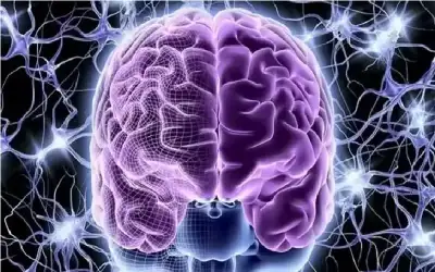 الأحلام وquotنوبلquot للطب ـ بقلم: معن