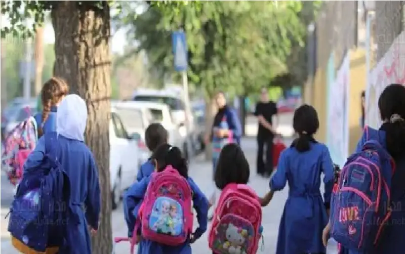 التربية: هذا ما تم انجازه خلال