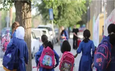 التربية: هذا ما تم انجازه خلال