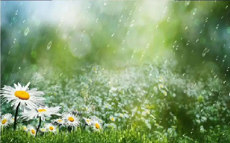 الأمن العام يحذر من حالة عدم