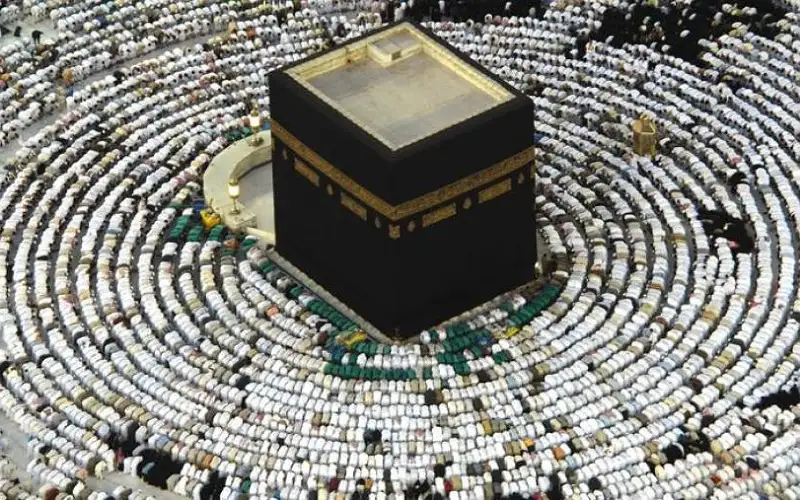 100 ألف ريال غرامة لإيواء حاملي