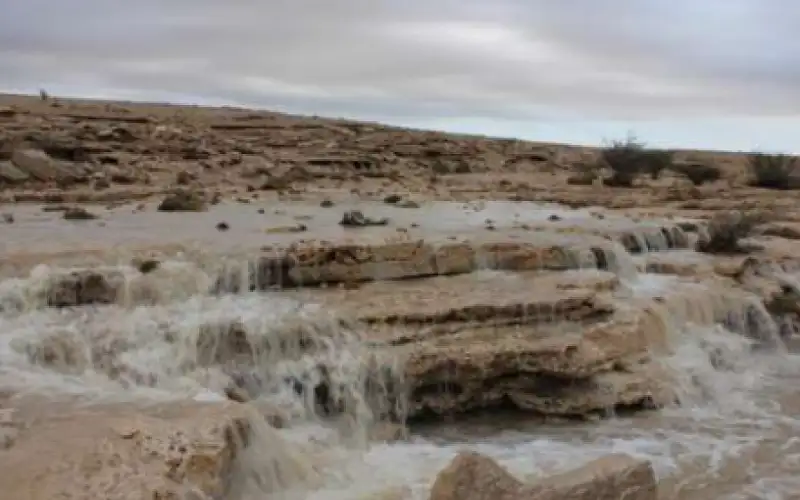 الأمن العام : فرق بحث وإنقاذ