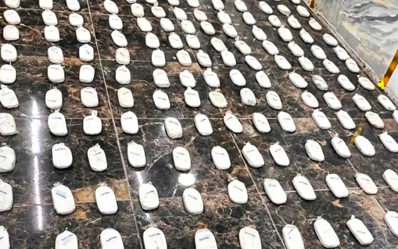 المنطقة العسكرية الشرقية تحبط عملية تسلل