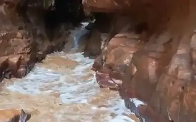 “فش حدا، اتوكل على الله، سم