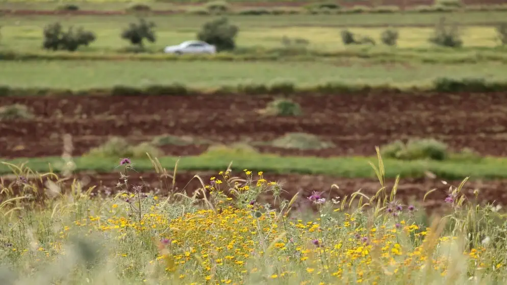 ارتفاع تدريجي في درجات الحرارة حتى