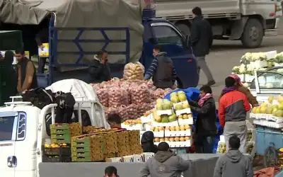 الأمونيا.. انتبهوا فالأمر لا يقبل التسويف