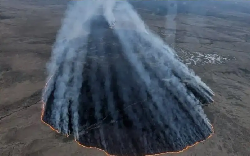 ليس دواء.. نشاط غير متوقع يخفف
