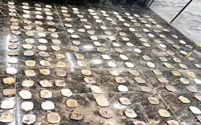 هل تطلق فرنسا أزمة اليورو التالية؟