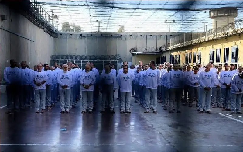 الأسرى في سجون الاحتلال.. إبادة متواصلة