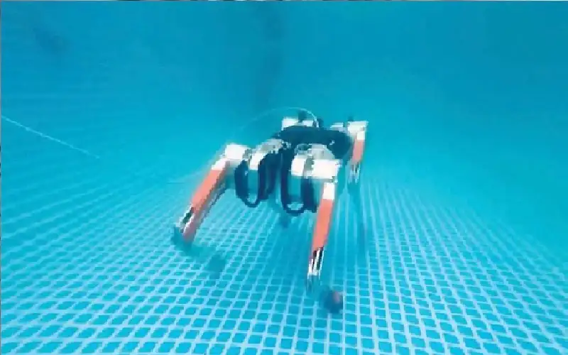 كلب روبوتي برمائي