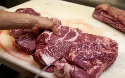 لحوم حمير تسربت للمطاعم.. تصريح صادم