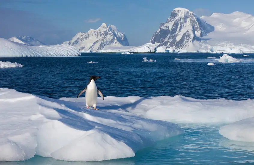 ظاهرة غريبة في أنتاركتيكا تحير العلماء