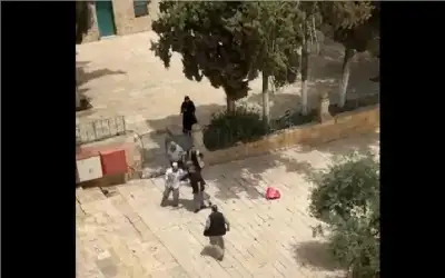 احباط محاولة مستوطنين ذبح قربان في
