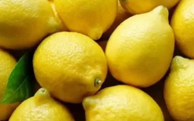 الزراعة توضح آلية منح رخص استيراد