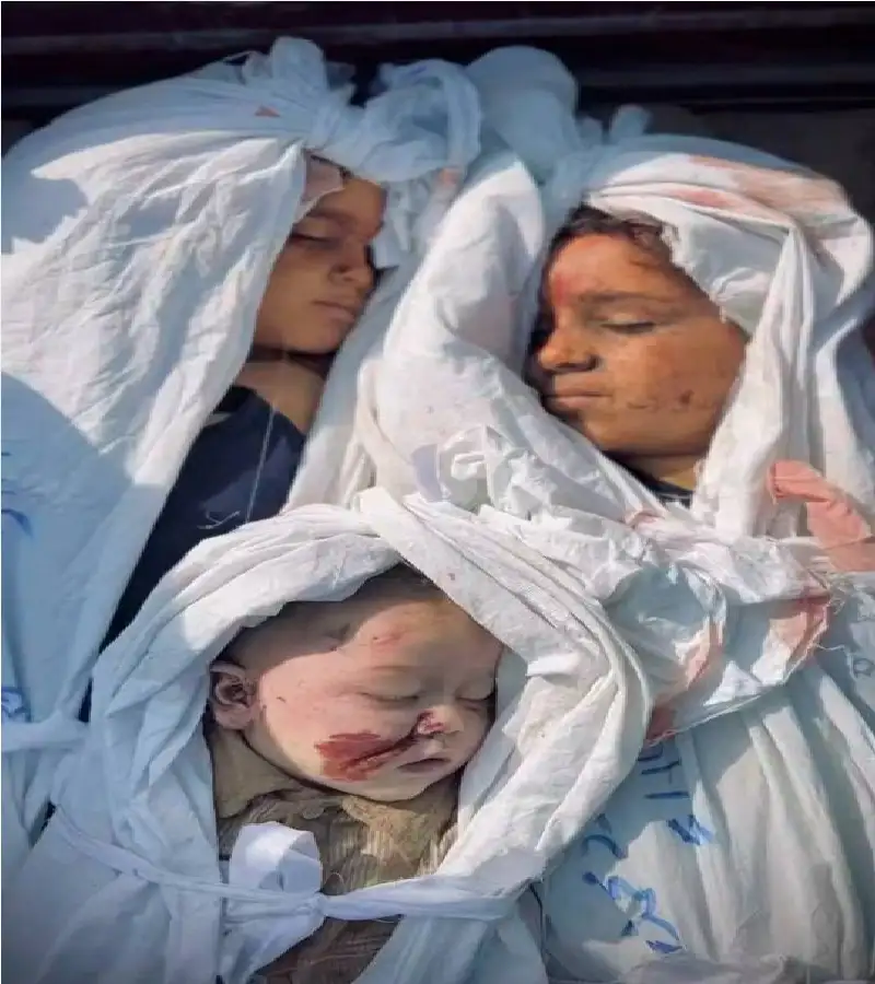 اطفال غزة.. كانوا مثل كل الاطفال..