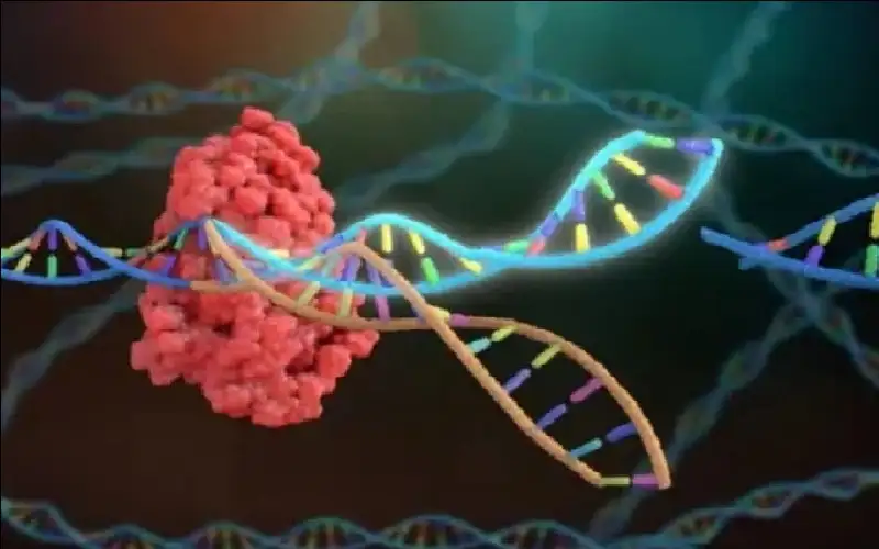 أول علاج جيني شخصي ينقذ رضيعا