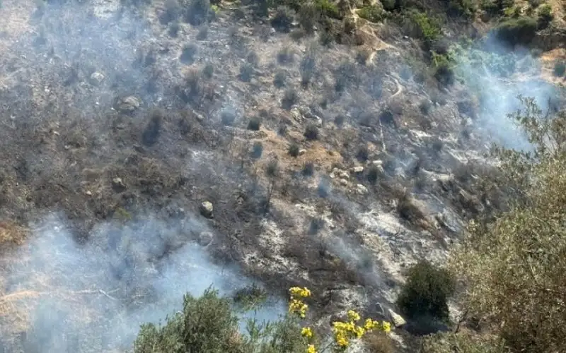 عجلون .. حريق يأتي على 6