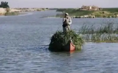 كعكة الرئيس .. فيلم عراقي يحاكي