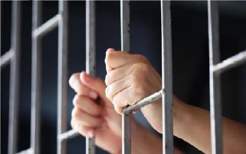 وزير العدل: بدائل الحبس في معدل