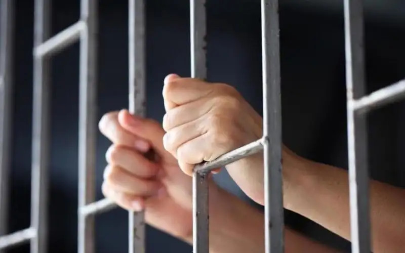 وزير العدل: بدائل الحبس في معدل