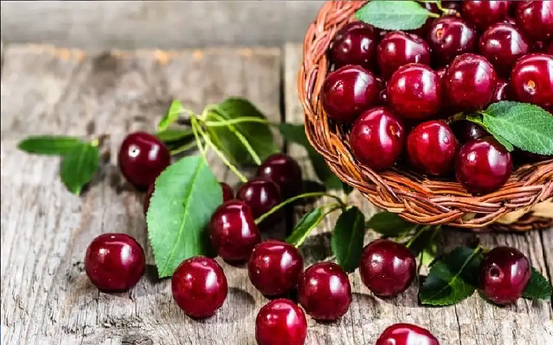 خبراء: طعام واحد يساعد على نوم