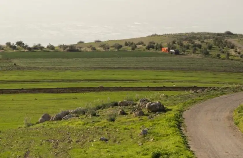 تقرير: تراجع كميات الأمطار سيؤثر سلبا