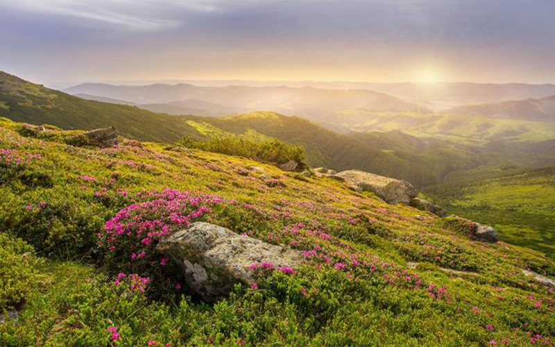 جرش :محمية المأوى ملاذ للحياة البرية