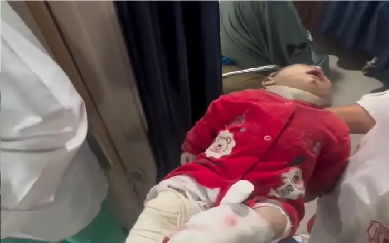 رئيس حزب الهوية الإسرائيلي موشيه فيجلين: