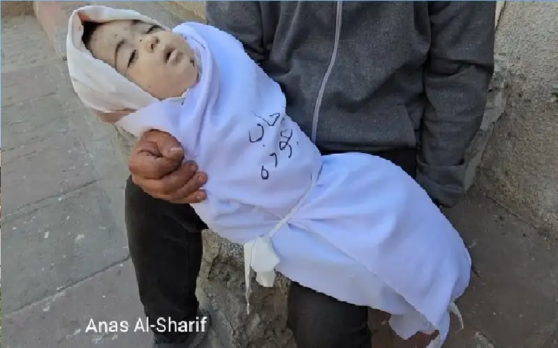 الكيان يطارد اطفال غزة علنا.. قتلهم