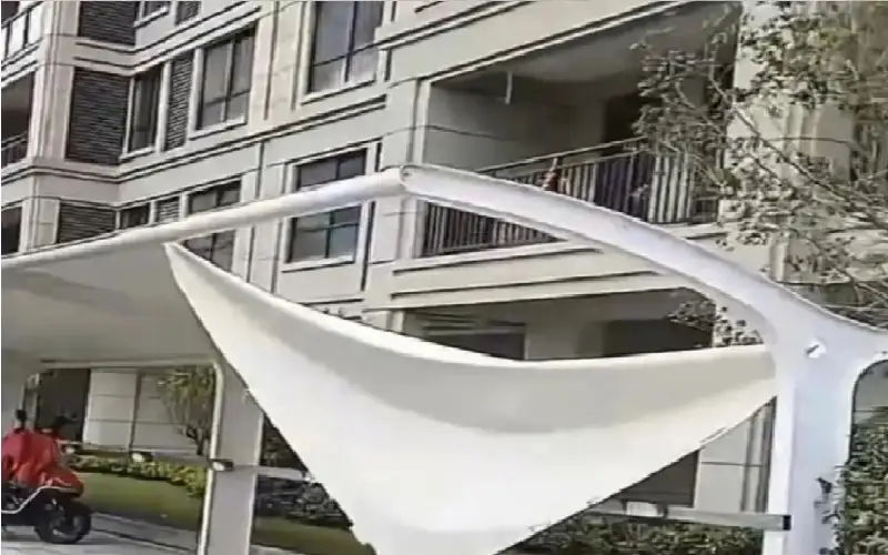 حادثة مروعة تتحول إلى معجزة.. امرأة