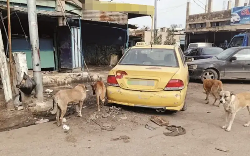 القضاء يلزم بلدية إربد بدفع 1518