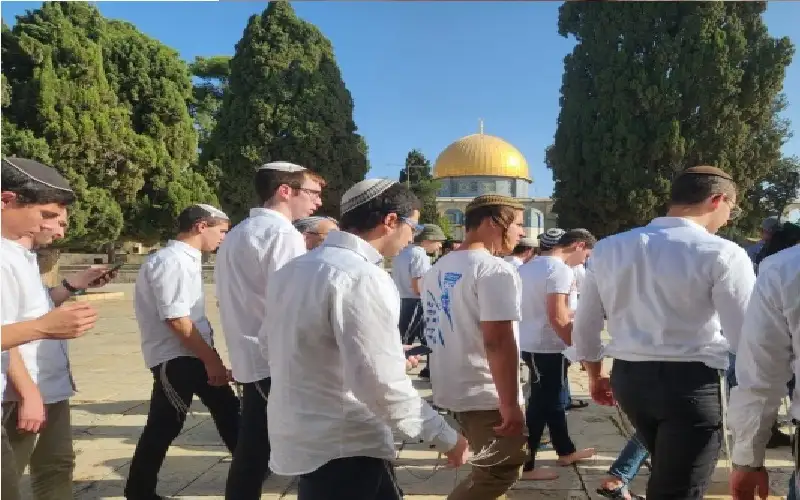 انتهاكات خطيرة واقتحامات واسعة للأقصى في