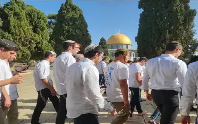 انتهاكات خطيرة واقتحامات واسعة للأقصى في